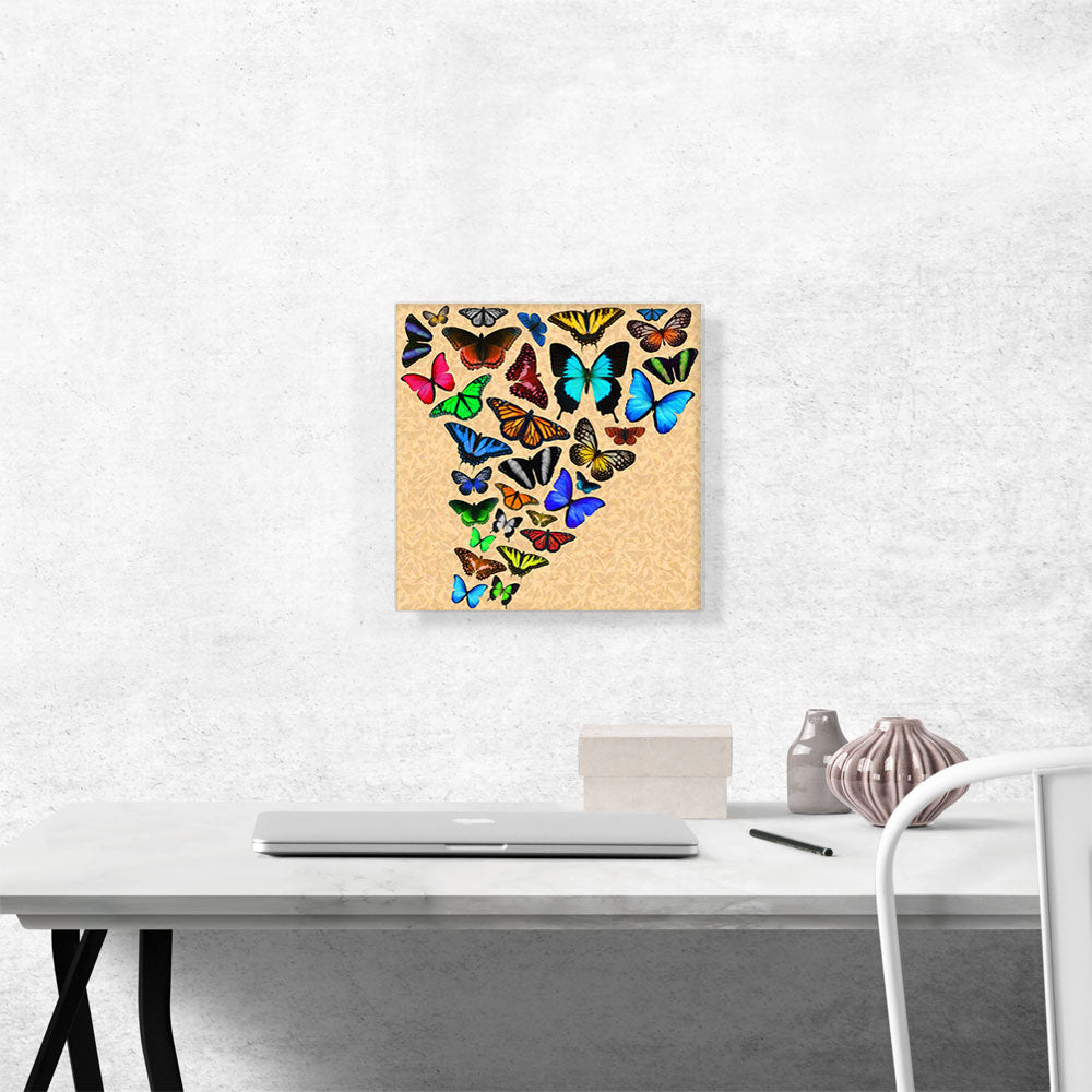 Colorful Butterfly Wings Insect Tan