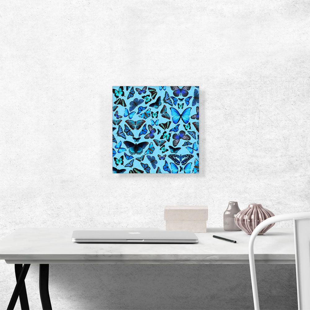 Navy Baby Blue Butterfly Wings Insect