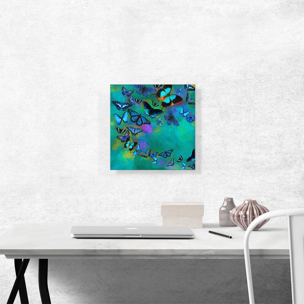 Teal Blue Butterfly Wings Insect