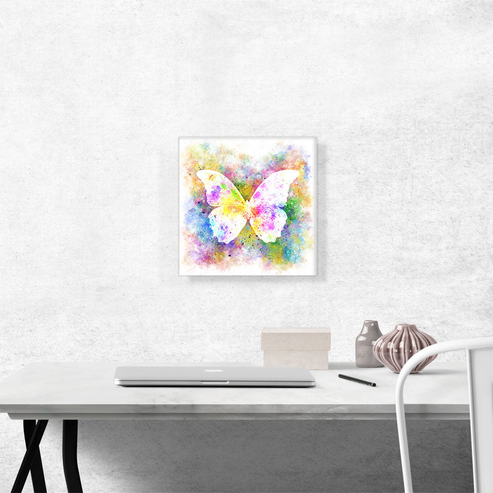 White Butterfly Wings Insect