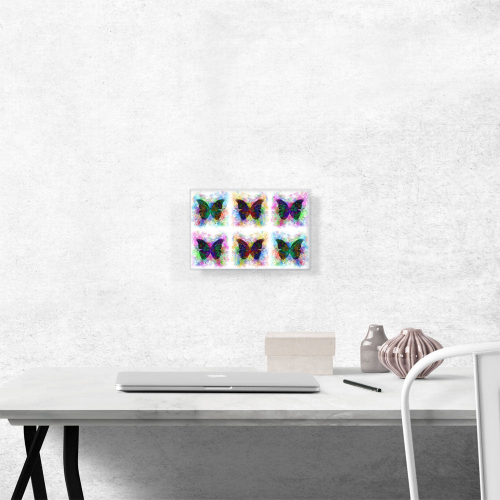 Black Dark Butterfly Wings Insect White