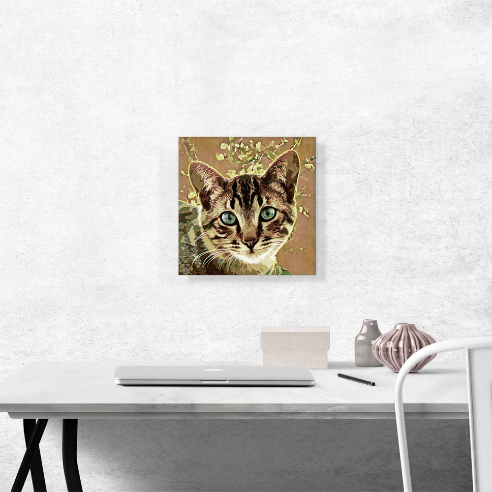 Ocicat Cat Breed Orange