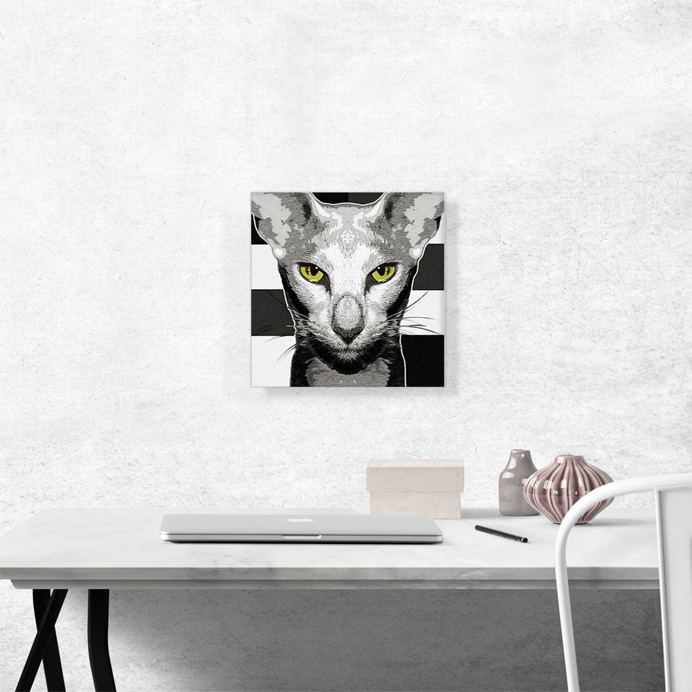 Oriental Shorthair Cat Breed Greyscale
