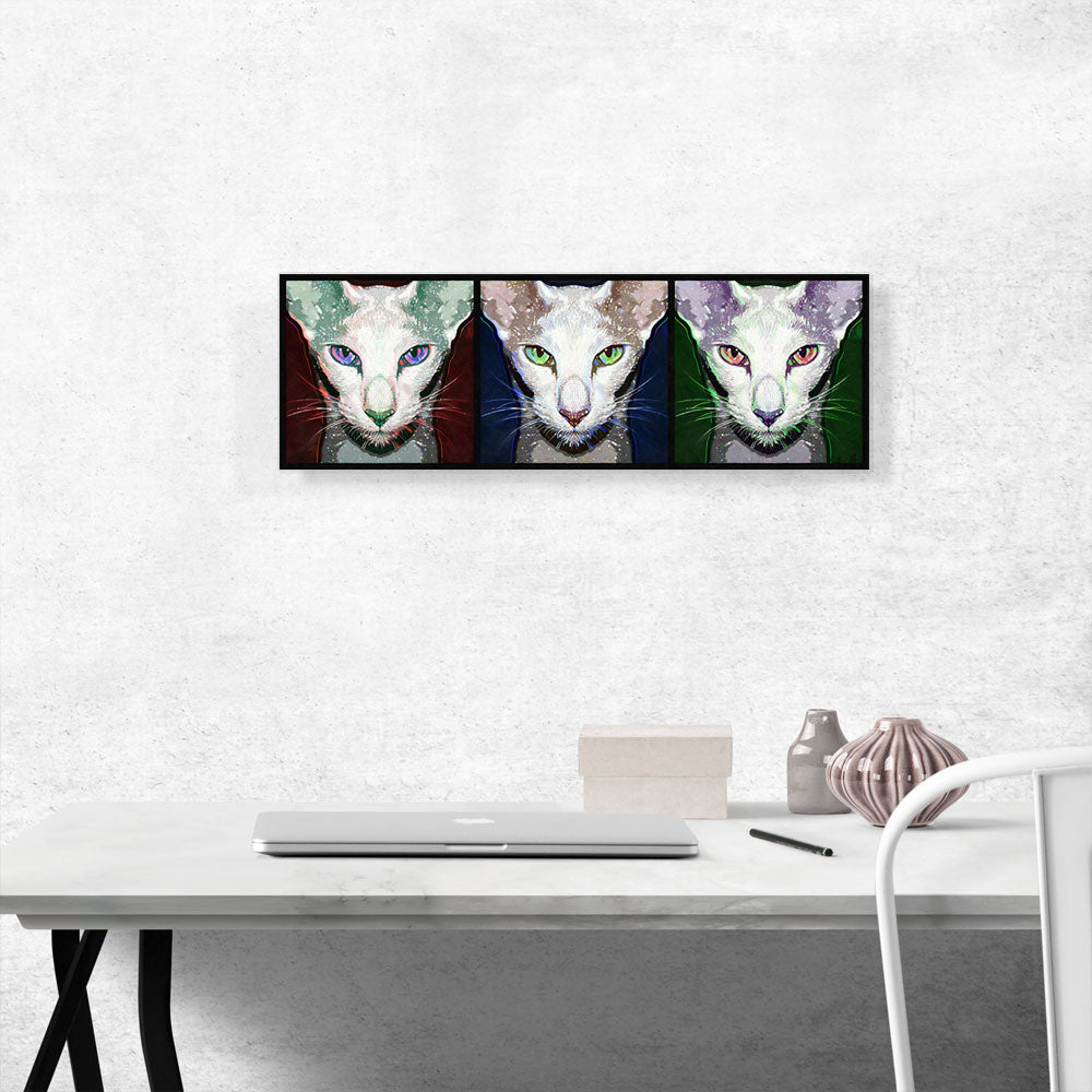 Oriental Shorthair Cat Breed Panoramic