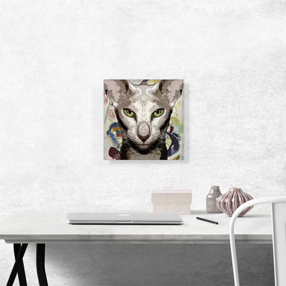 Oriental Shorthair Cat Breed