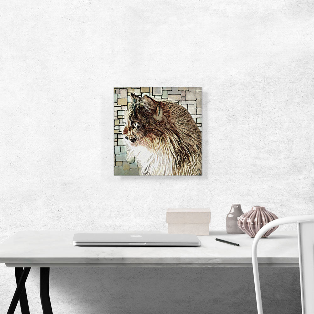 Persian Cat Breed