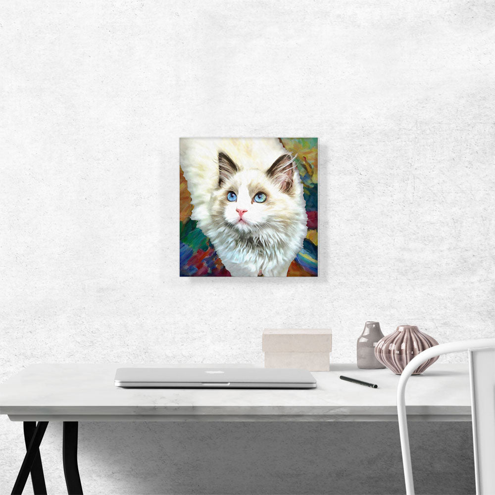 Ragdoll Cat Breed