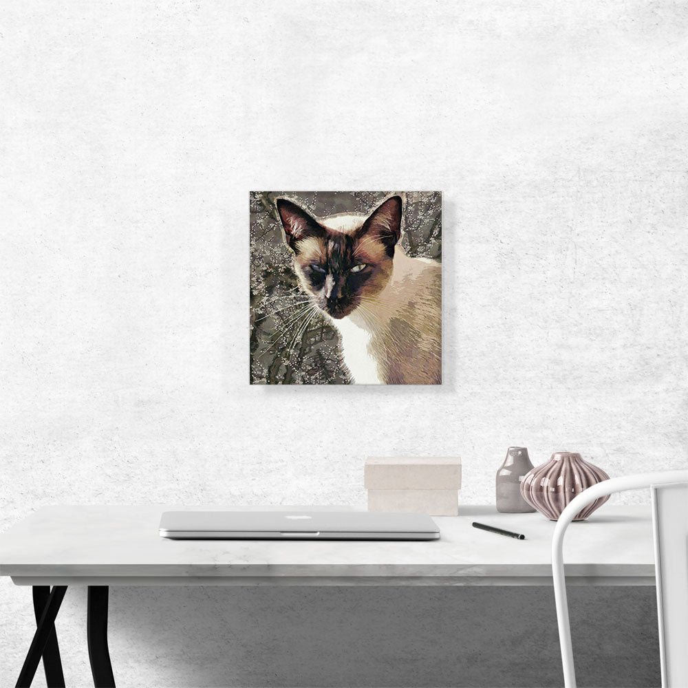 Snowshoe Cat Breed Brown