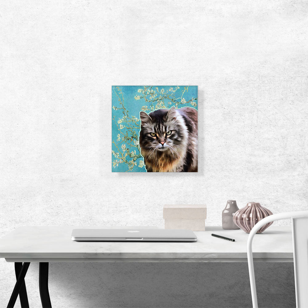 American Bobtail Cat Breed