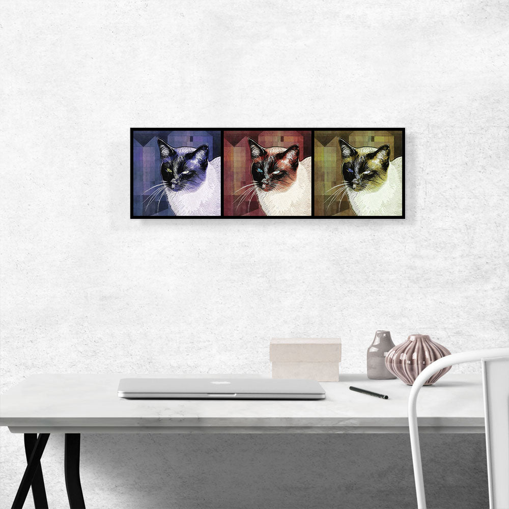 Tonkinese Cat Breed Panoramic