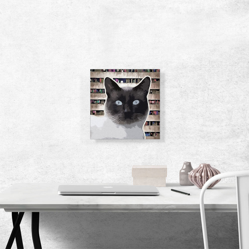 Birman Cat Breed