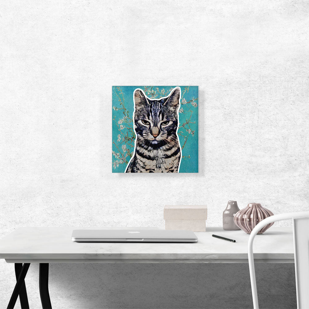 Egyptian Mau Cat Breed Teal