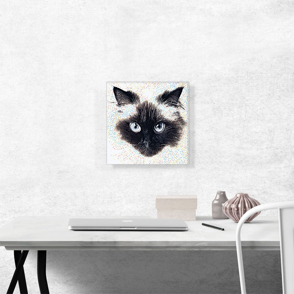 Himalayan Cat Breed Floating Face