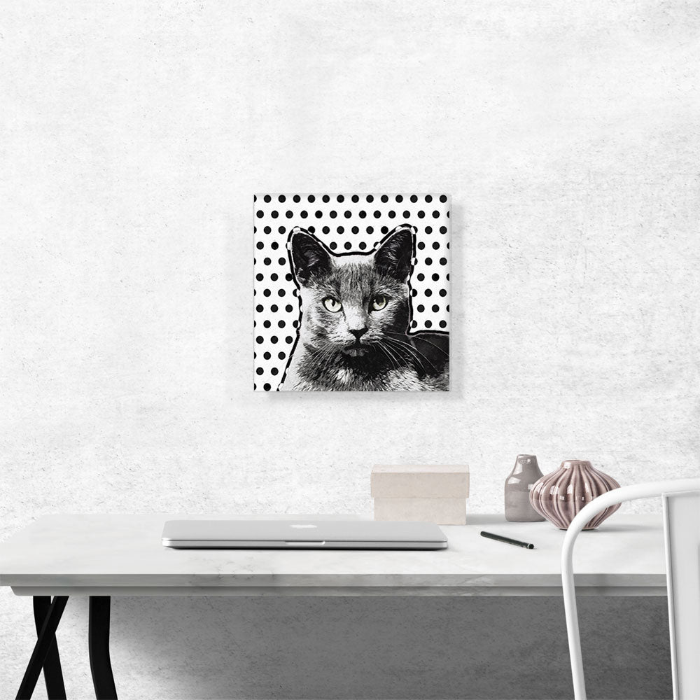 Korat Cat Breeds Dots
