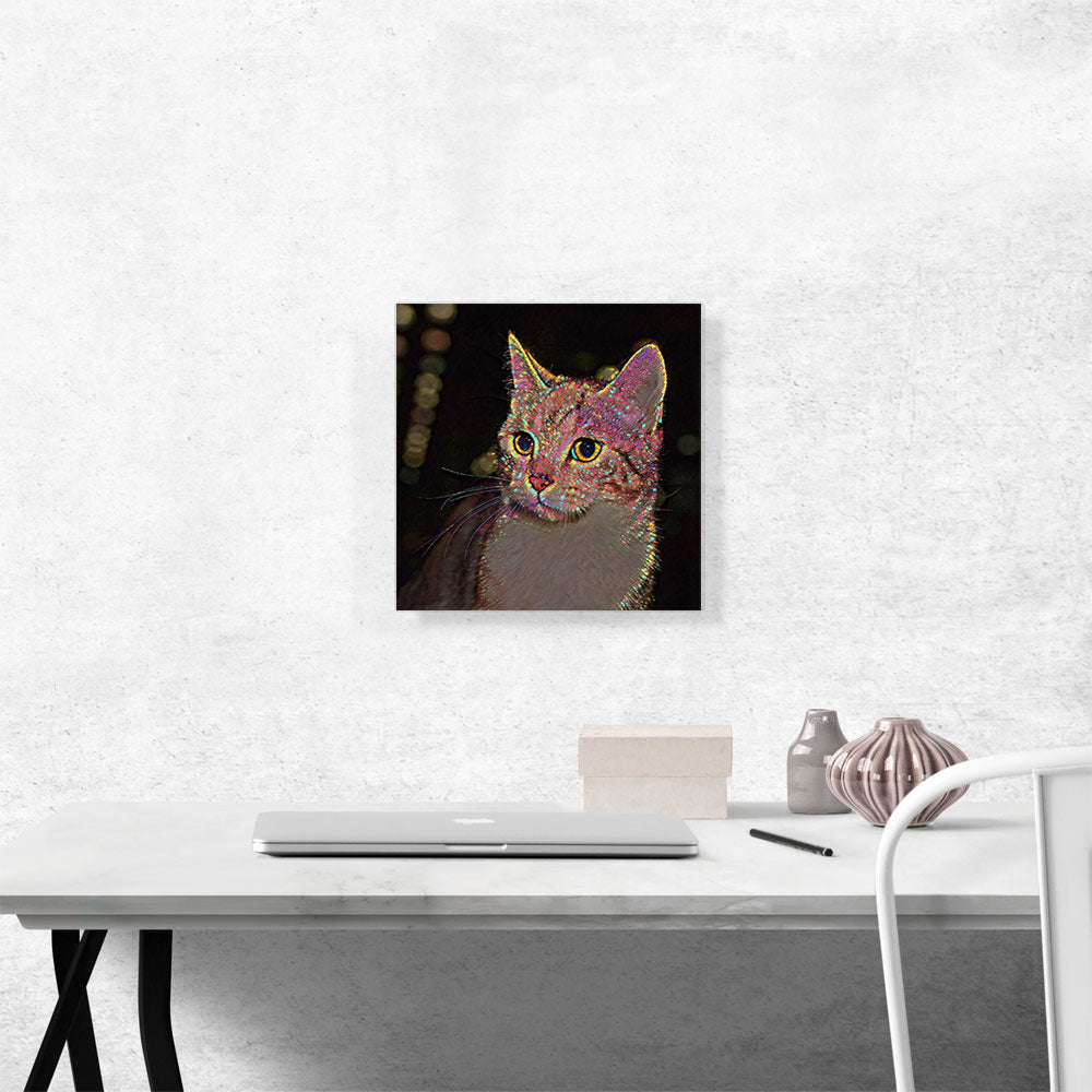 Munchkin Cat Breed Bright Dots