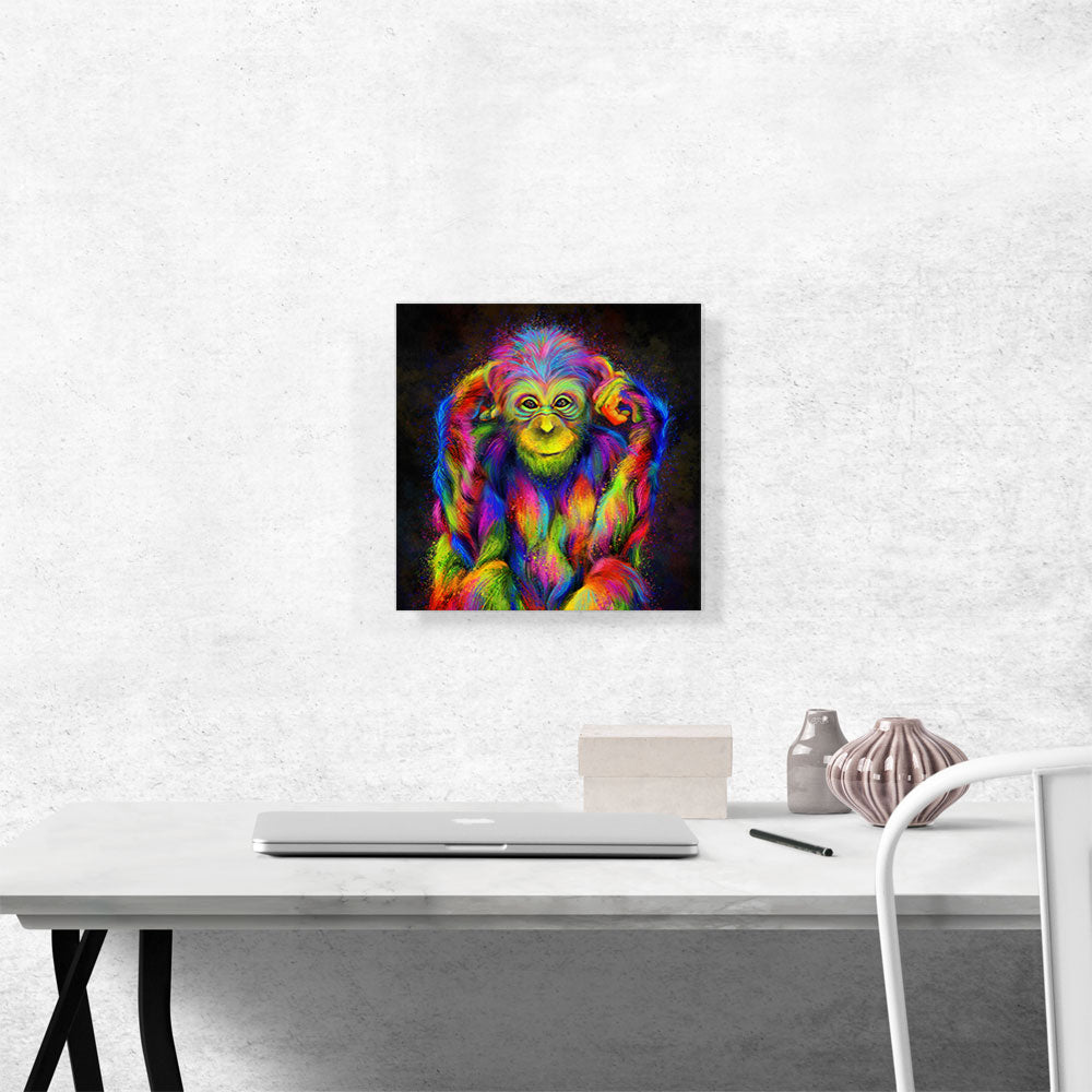 Chimpanzee Chimp Monkey Africa Great Ape
