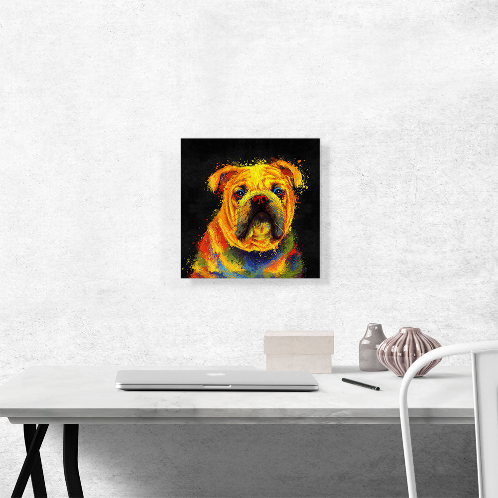English Bulldog English Dog