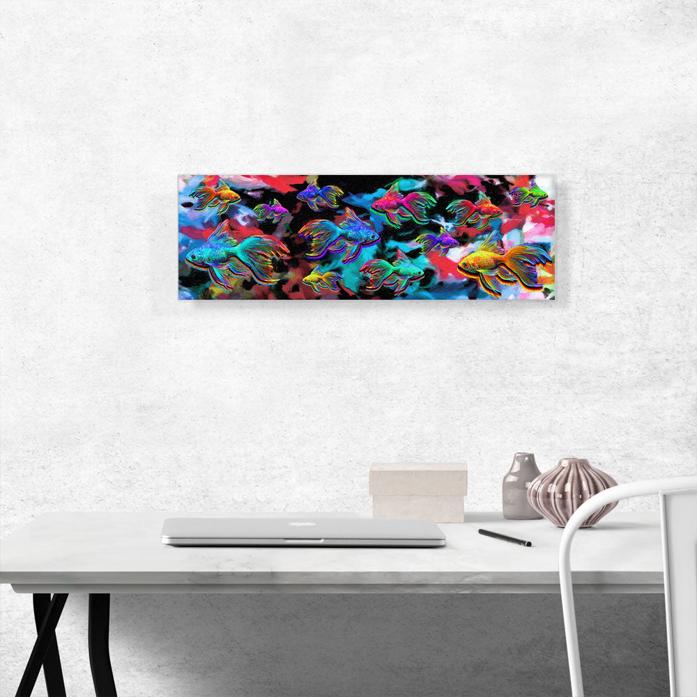 Goldfish Freshwater Aquarium Fishes Panoramic