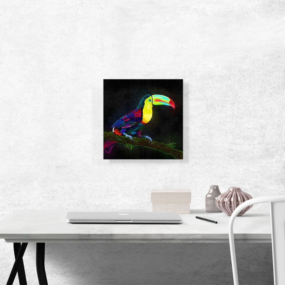Keel Billed Toucan Latin American Belize Bird on Branch
