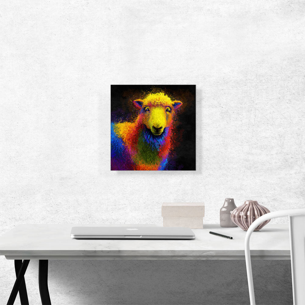 Sheep Livestock Animal