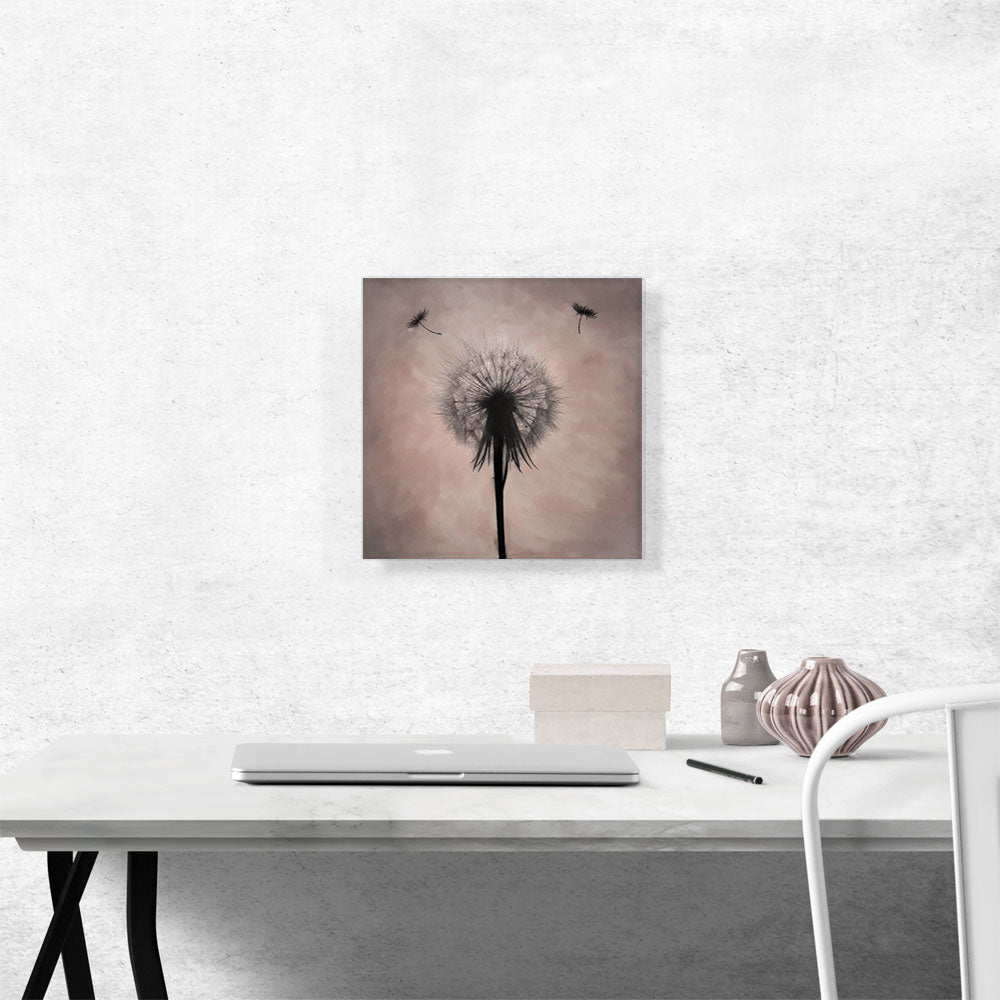 Dandelion Flower Plant Black Beige