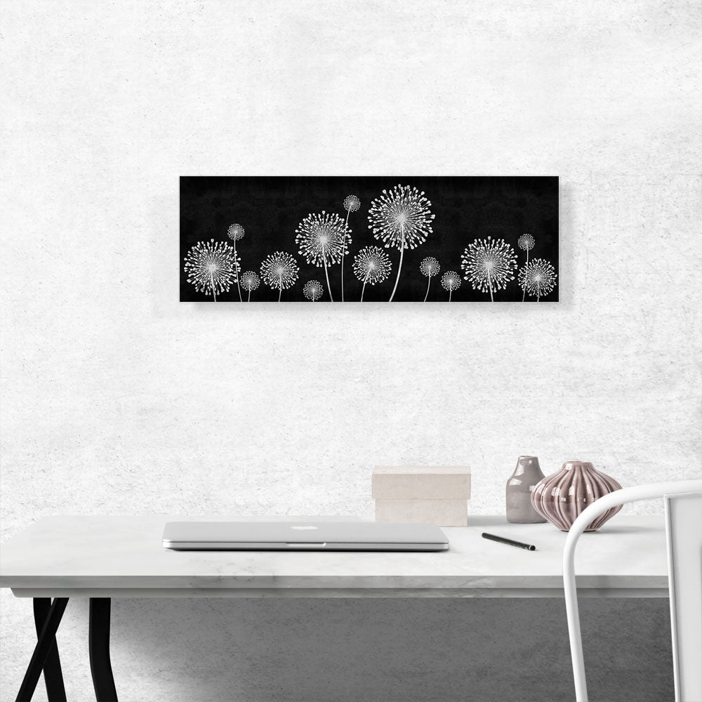 Dandelion Black and White Panoramic