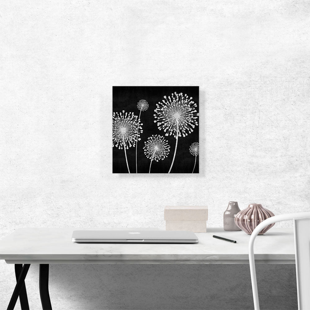Dandelion Black and White Square