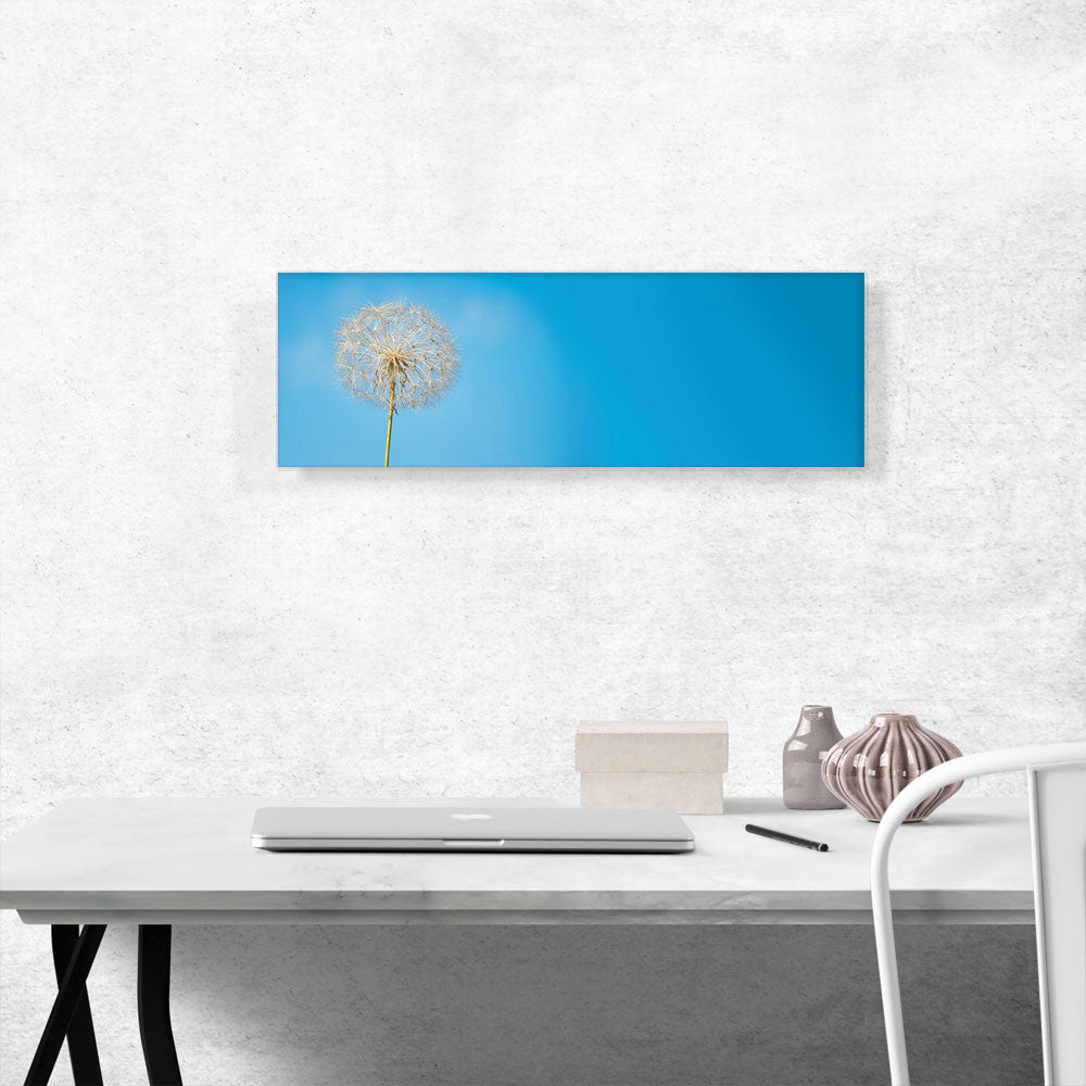 Dandelion Blue Sky Photo Panoramic