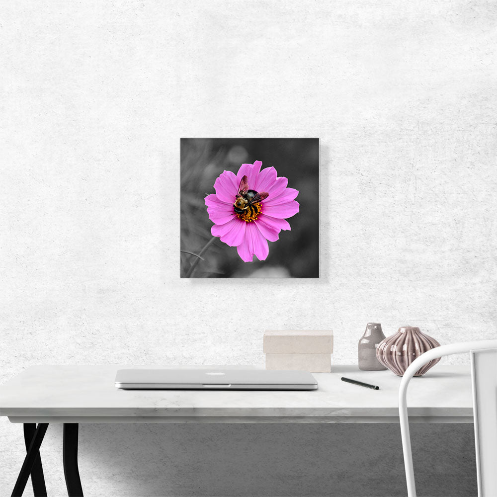 Bee On Pink Flower