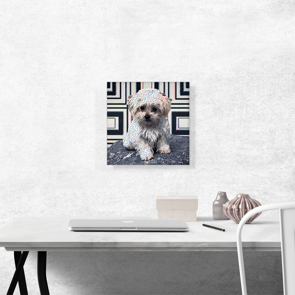 Havanese Dog Breed Polka Dots Puppy