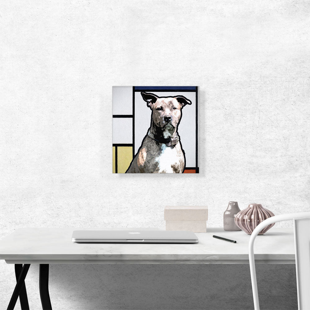 Pit Bull Terrier Dog Breed Modern