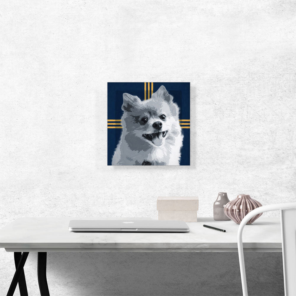 Pomeranian Dog Breed Blue Yellow Modern