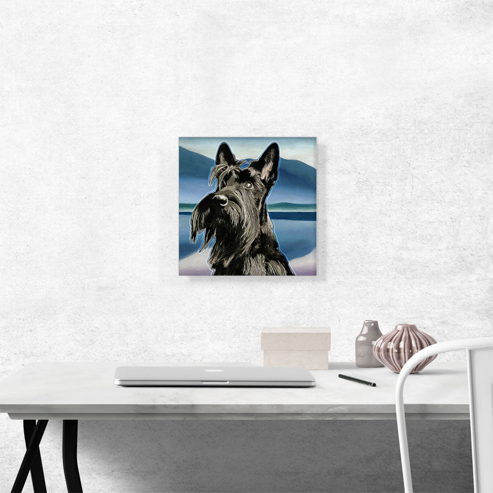 Scottish Terrier Dog Breed Blue Pastel