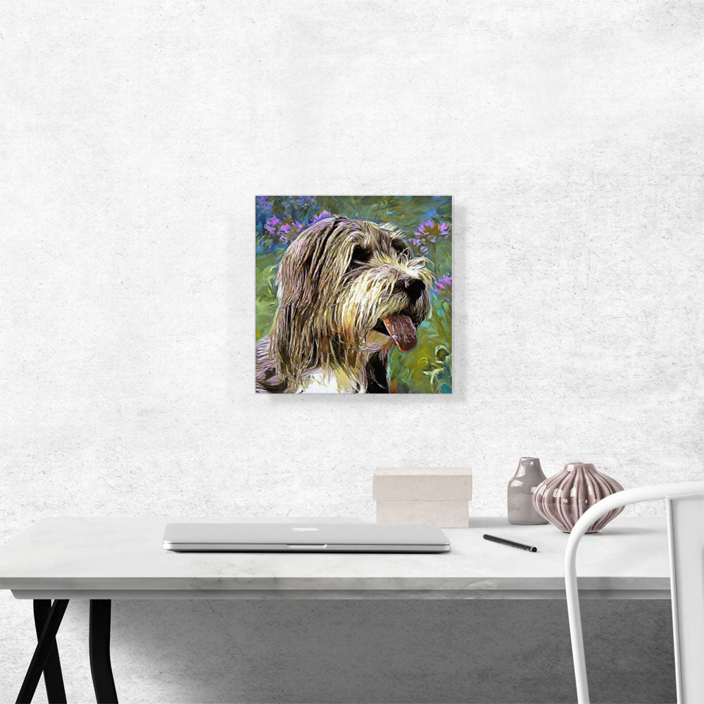 Bearded Collie Dog Breed Flowers