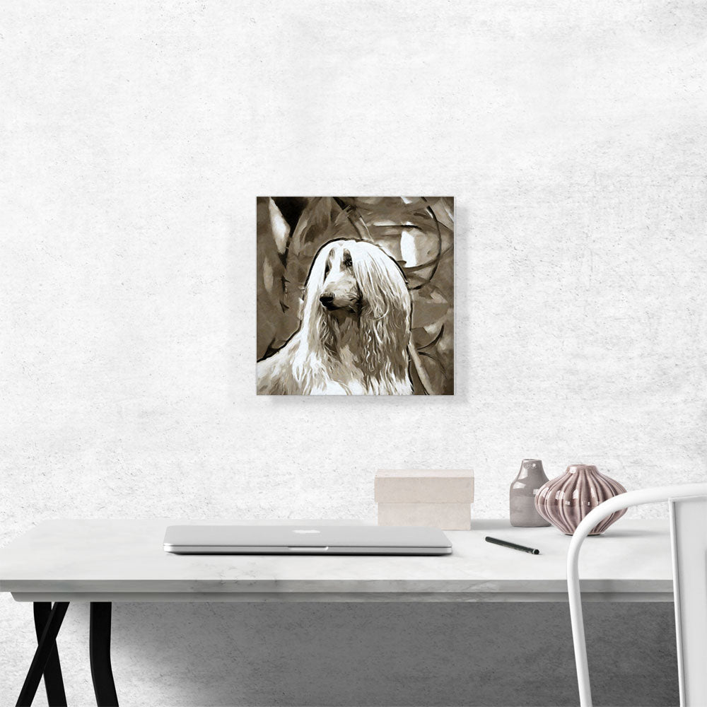 Afghan Hound Dog Breed
