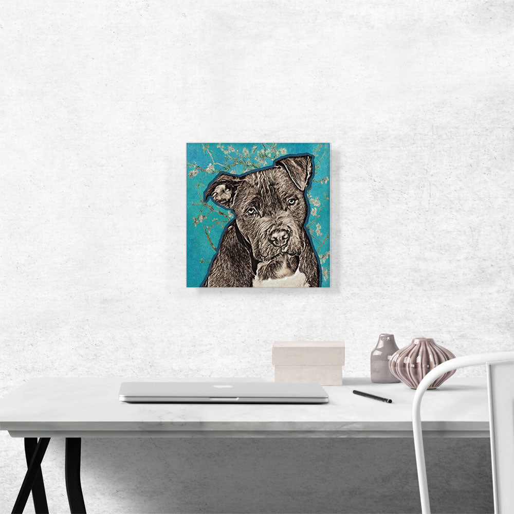 Cane Corso Dog Breed Teal White Flowers