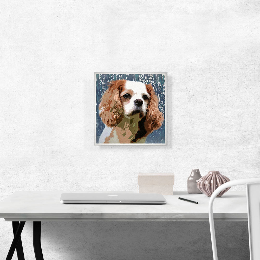 Cavalier King Charles Spaniel Dog Breed Blue