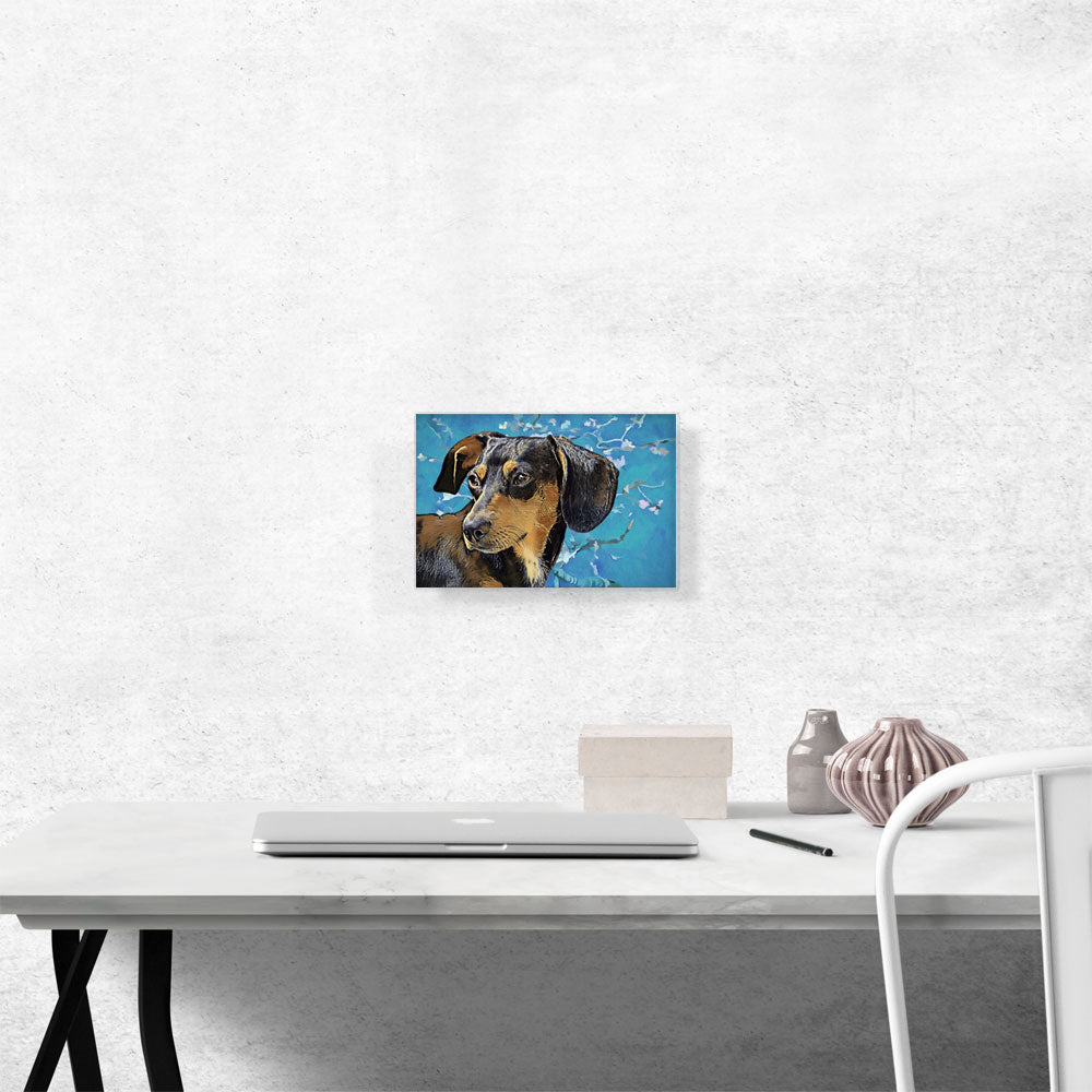 Dachshund Dog Breed Blue White Flowers