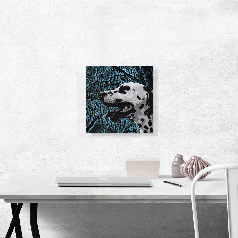 Dalmatian Dog Breed Blue lights