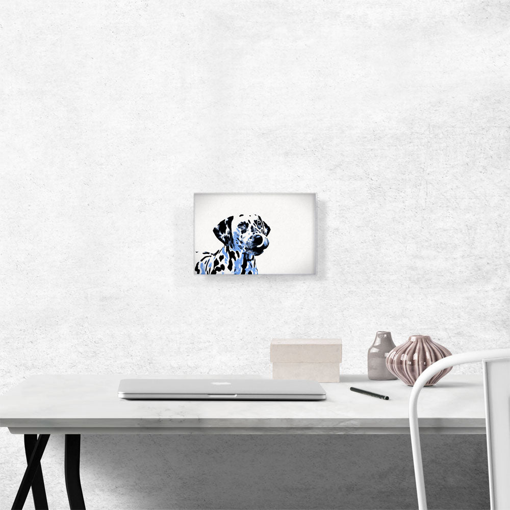 Dalmatian Dog Breed Blue White Black