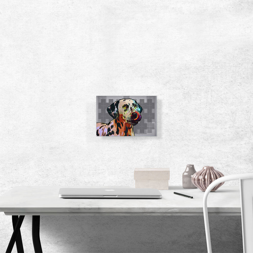 Dalmatian Dog Breed Colorful Checkered Pattern