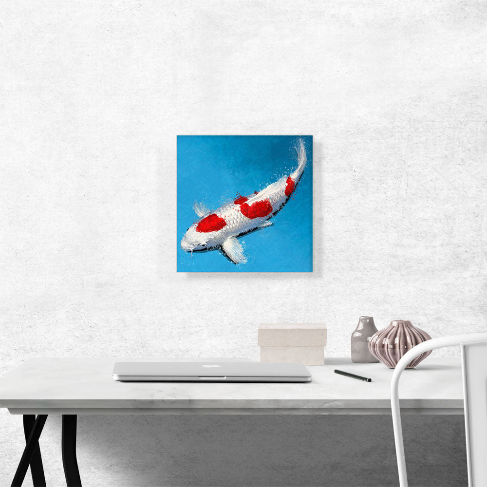 Hikarimoyo Koi Carp Fish Japan China Asia