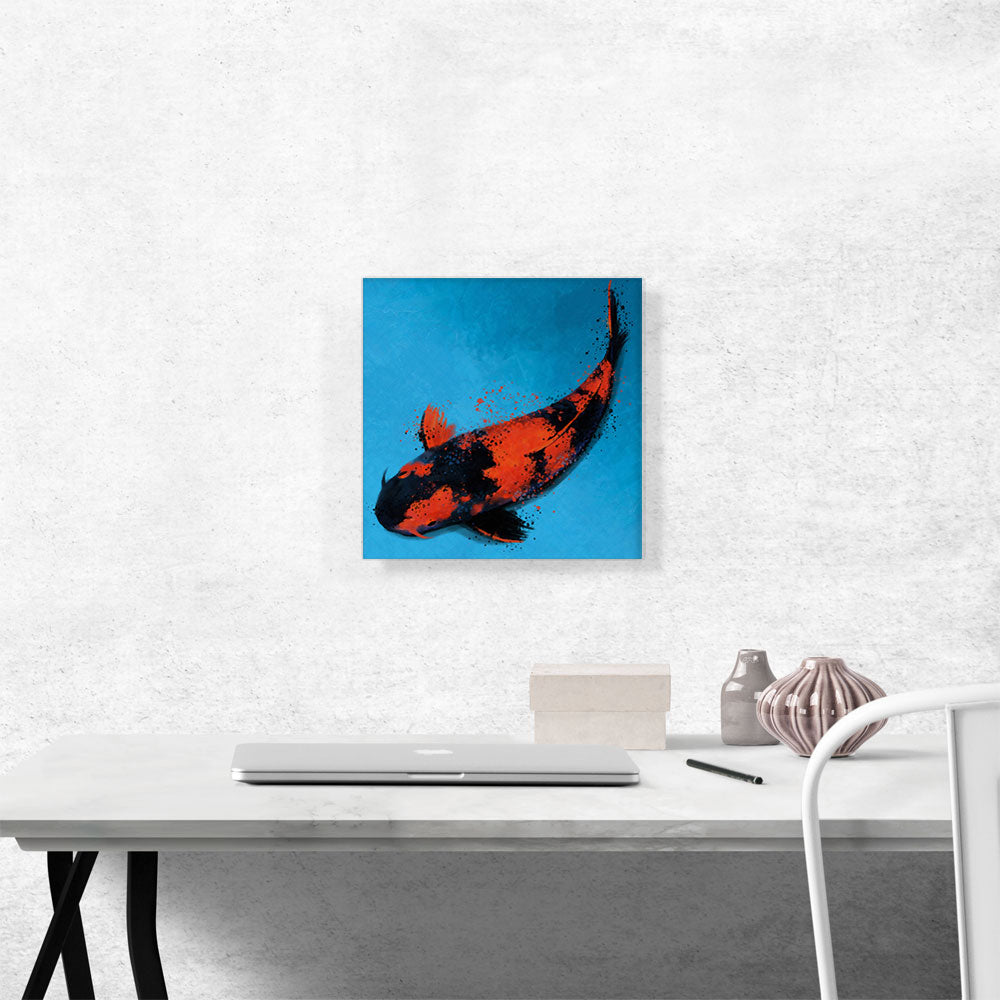 Hiutsuri Koi Carp Fish Japan China Asia
