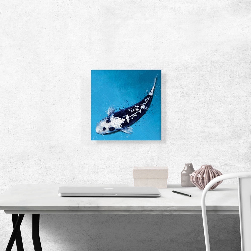 Kawarigoi Koi Carp Fish Japan China Asia