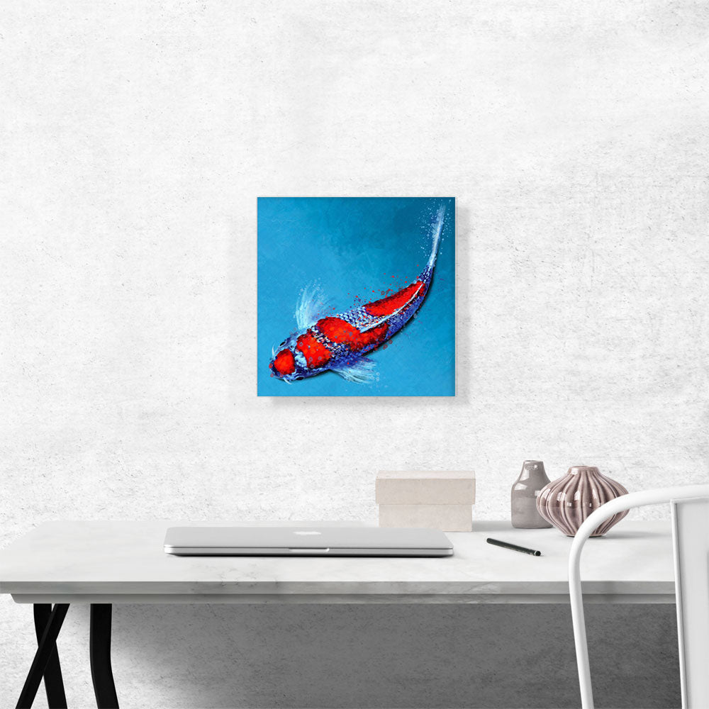 Kinginrin Koi Carp Fish Japan China Asia