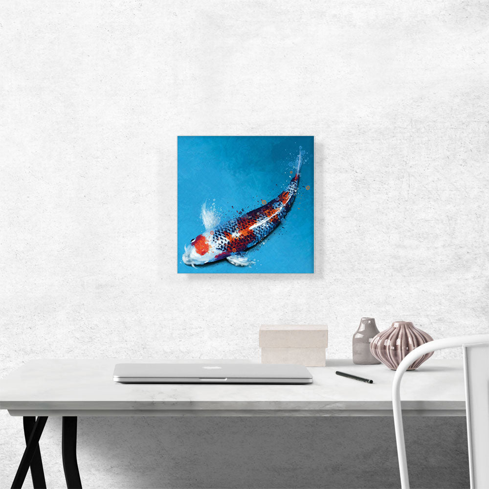 Kujyaku Koi Carp Fish Japan China Asia
