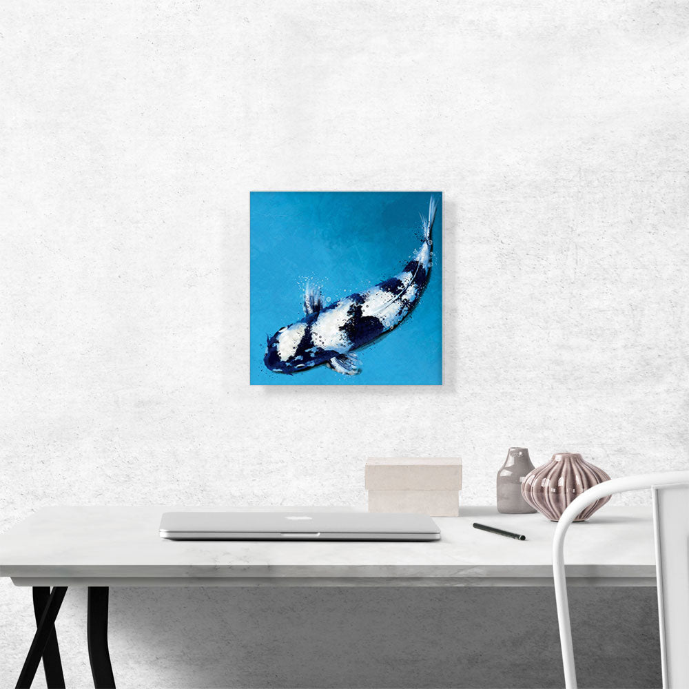 Shiroutsuri Koi Carp Fish Japan China Asia