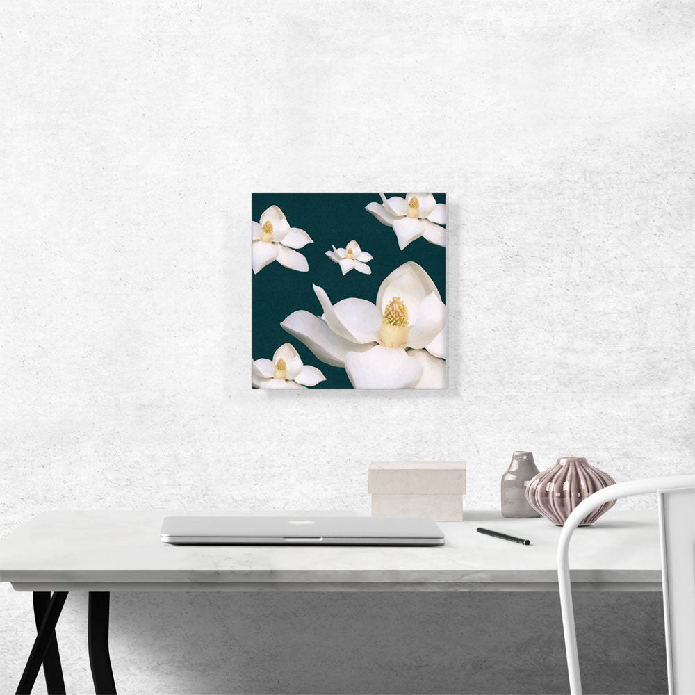 Modern White Flowers on Teal