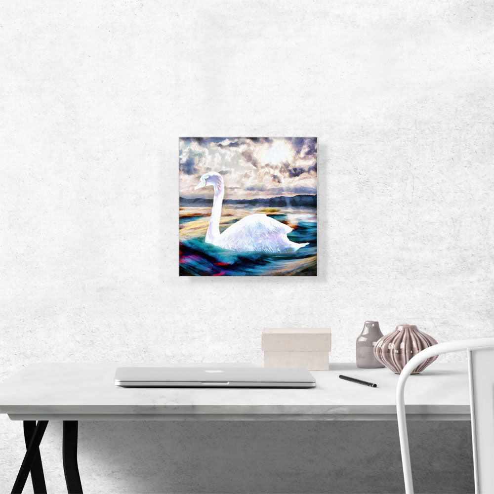 Swan Paint Home decor