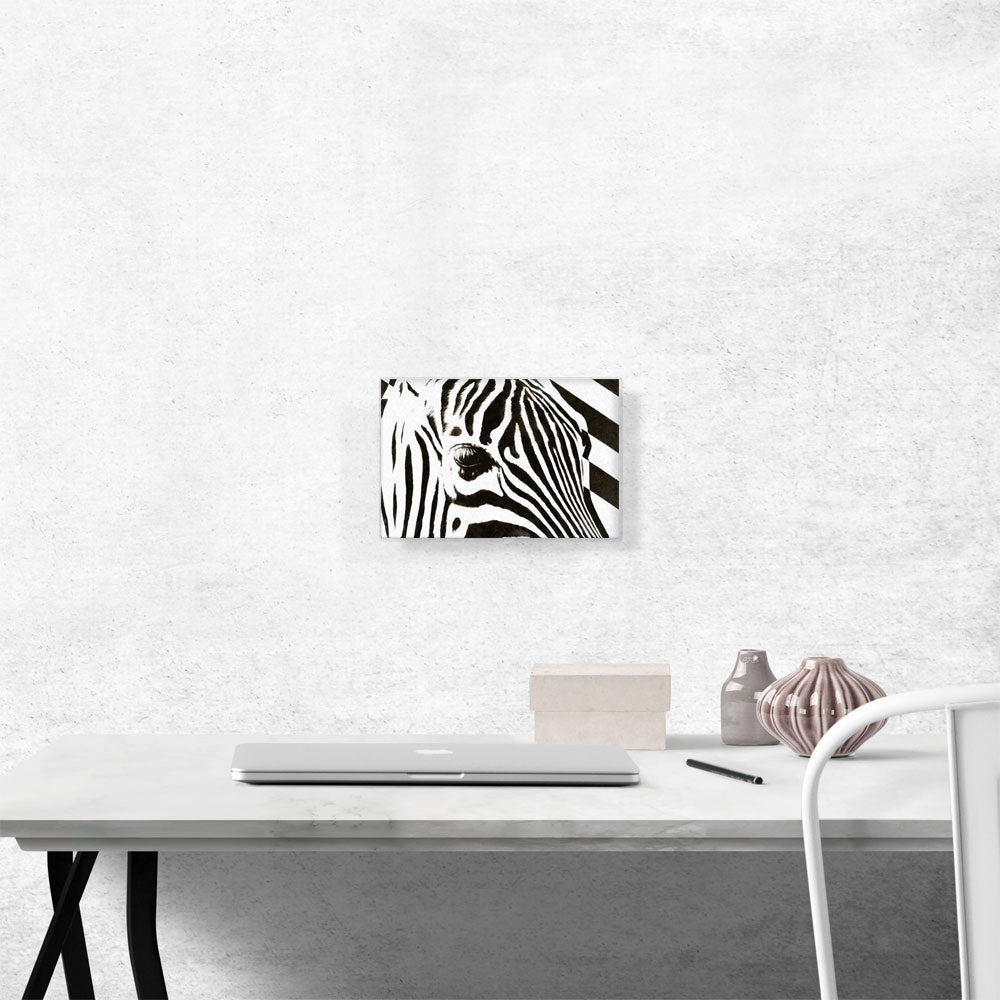 Zebra Stripes Painted Home decor